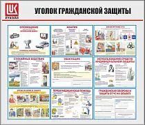Стенд Уголок гражданской обороны, 9 плакатов А3, Логотип (1100х1200; Пластик ПВХ 4 мм; Аллюминиевый профиль (серебро)), Уголок гражданской защиты (А3; Бумага, ламинированная; )-1шт